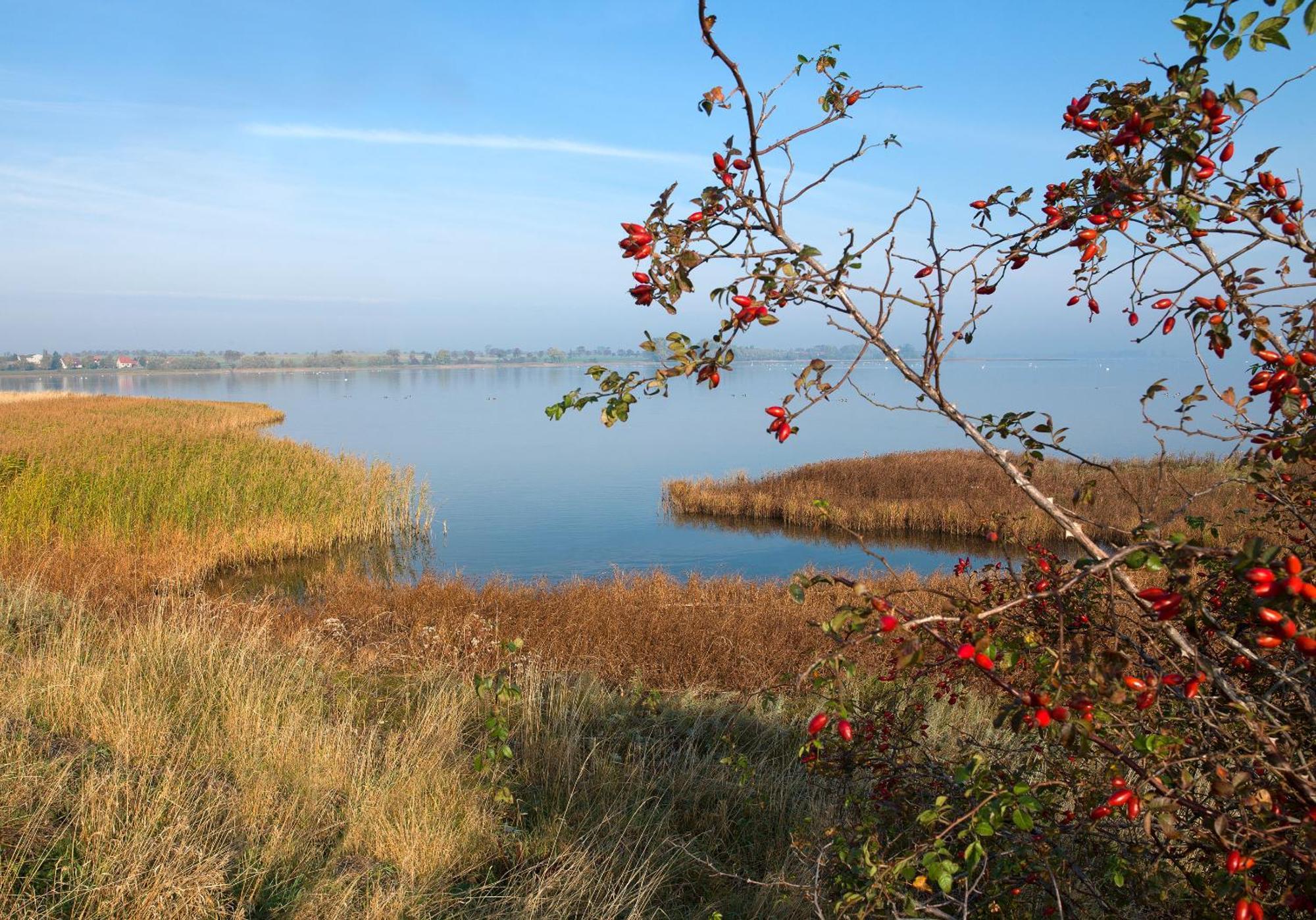 Gaude Tiet Lägenhet Insel Poel Exteriör bild