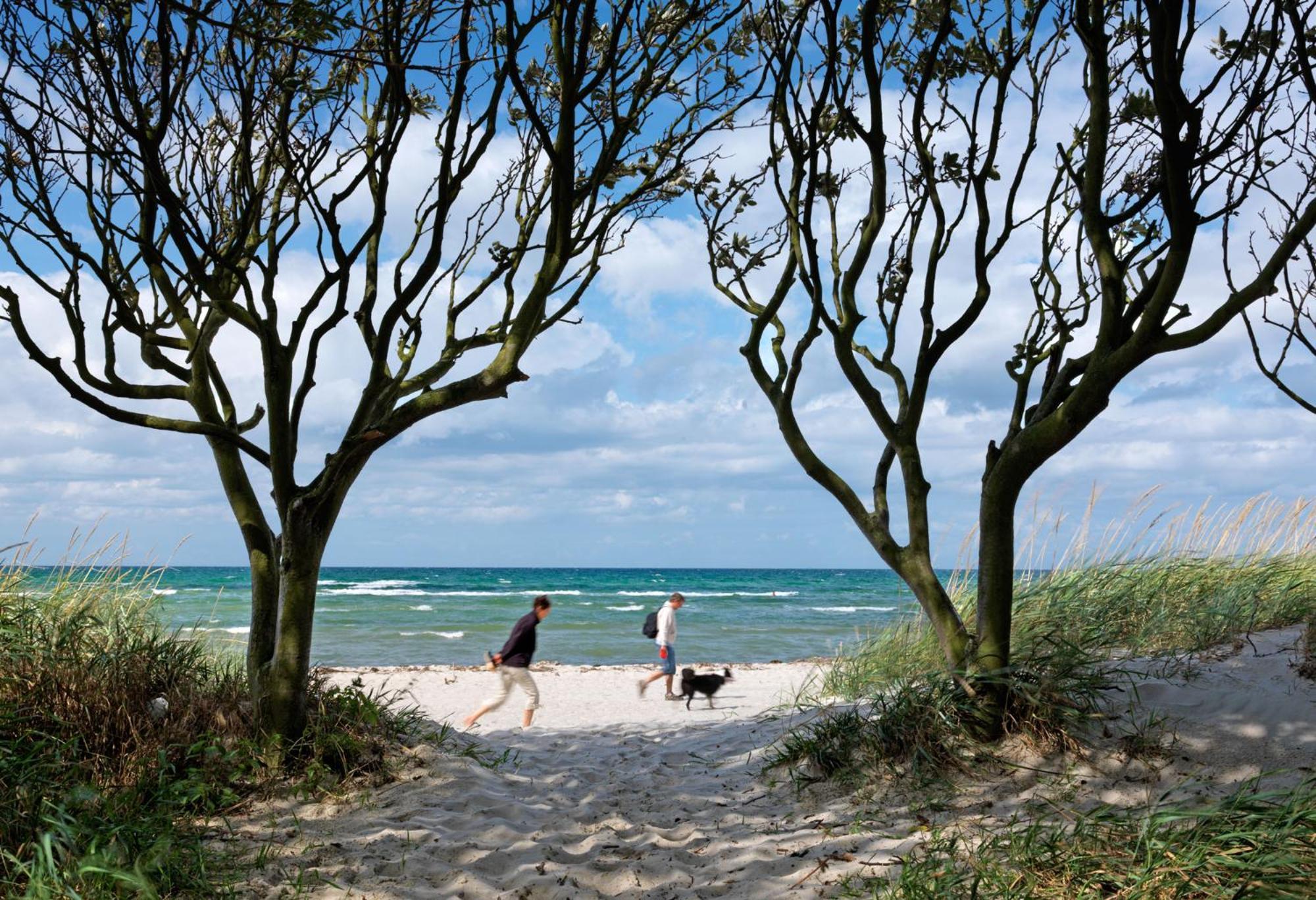 Gaude Tiet Lägenhet Insel Poel Exteriör bild